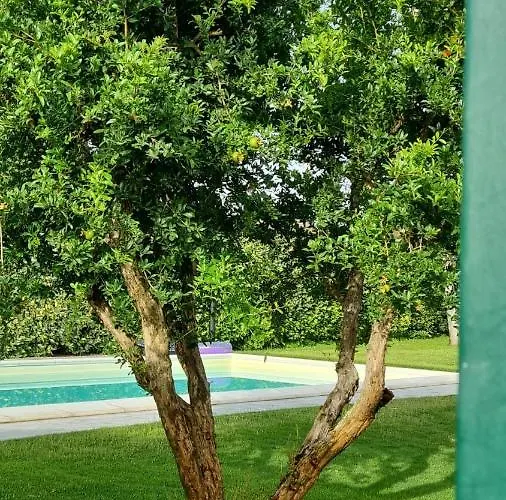 Brancasi Con Piscina Brindisi